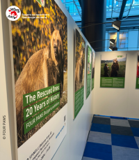 ЧЕТИРИ ЛАПИ представя изложбата „Спасените: 20 години история“ в Европейския парламент