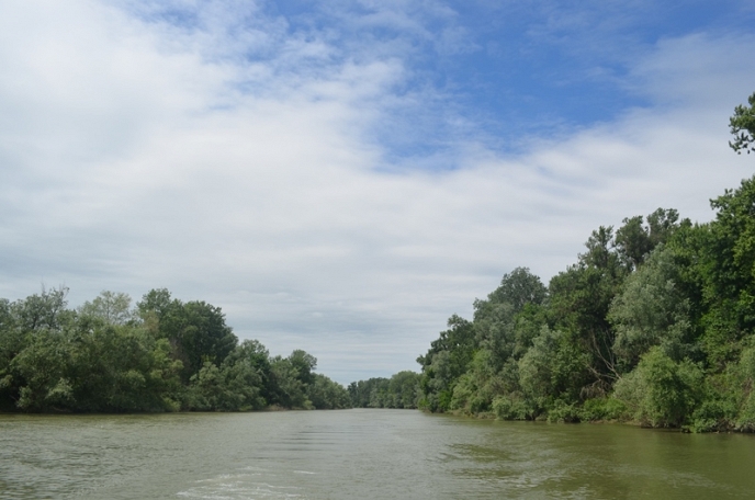 WWF представя крайречните гори в серия инициативи за Седмицата на гората