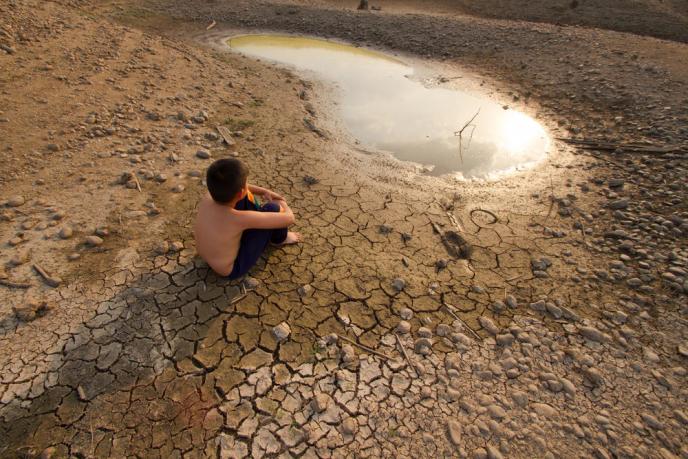 WWF: Унищожаваме природата, от която зависим, сочи докладът „Жива планета 2018”