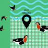 Интерактивна изложба „Пътят на червеногушата гъска”