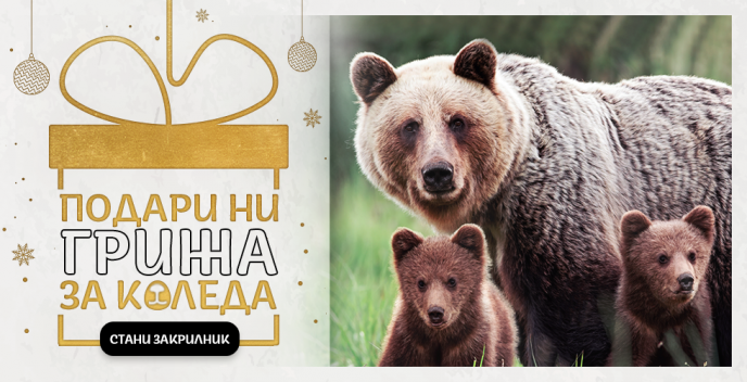 WWF стартира кампания за опазване на мечките в България
