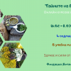 Онлайн курс „Тайните на билките”