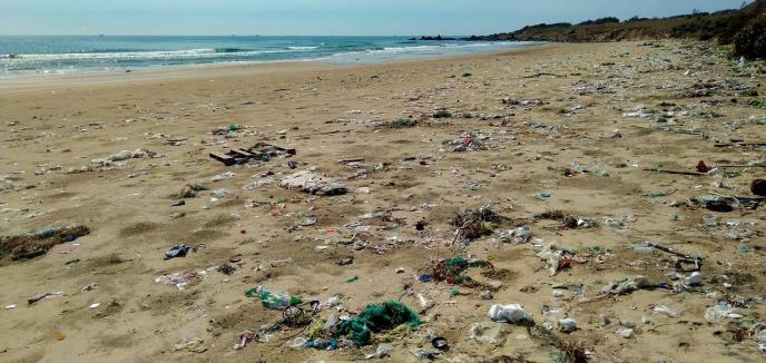 Безплатна прожекция на филма ”История на пластмасата” на плажа в Поморие организира Екологично сдружение ”За Земята”