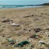 Безплатна прожекция на филма ”История на пластмасата” на плажа в Поморие организира Екологично сдружение ”За Земята”