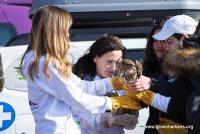 Спасителният център за диви животни на ”Зелени Балкани” закупи втора линейка