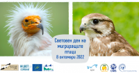 На 8-и октомври отбелязваме Световния ден на мигриращите птици в Зоологическа градина – София