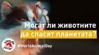 „Споделена планета” - 97 години Световен ден за защита на животните