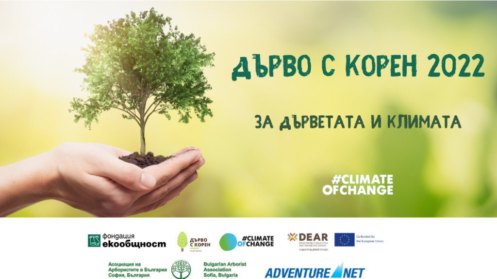 До 5 декември избираме любими дървета в конкурса „Дърво с корен 2022“