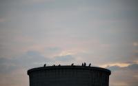 Активисти на „Грийнпийс“ се изкачиха върху 50-метрова охладителна кула в ТЕЦ „Марица 3“ край Димитровград