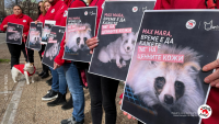Коалиция от организации за защита на животните призовава италианската модна марка Max Mara да се откаже от употребата на ценни