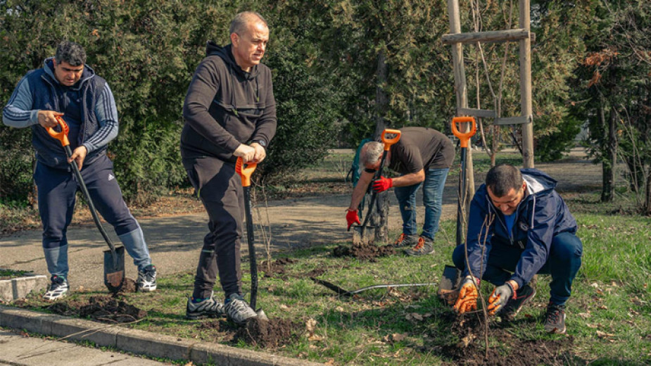 В София подаряват 50 хиляди дръвчета на хора, които искат да ги засадят