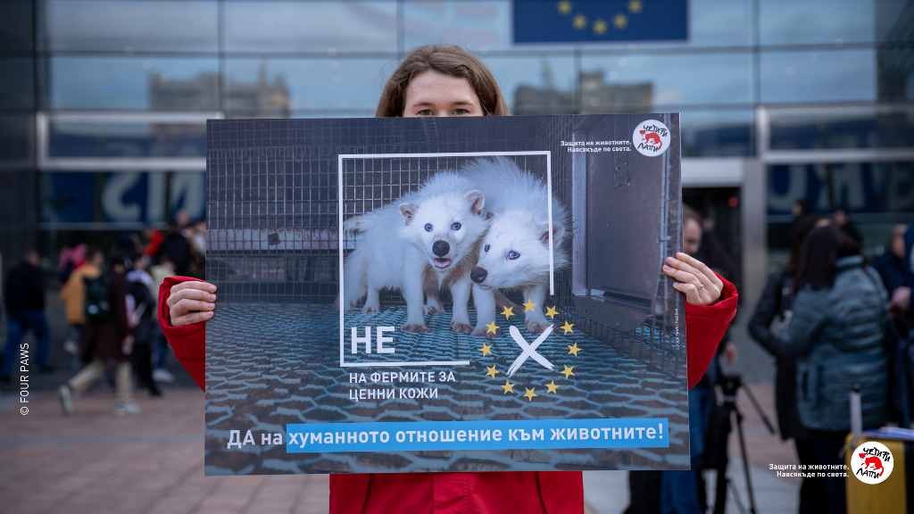 Гражданите на ЕС заявиха:  време е за хуманно отношение към животните