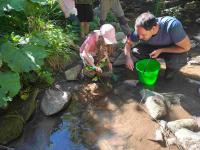 С бебешки ясли за рибки възстановяват вида „Местна балканска пъстърва“ в реките Места, Струма и Марица